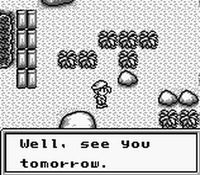 une photo d'Ã©cran de Harvest Moon GB sur Nintendo Game Boy